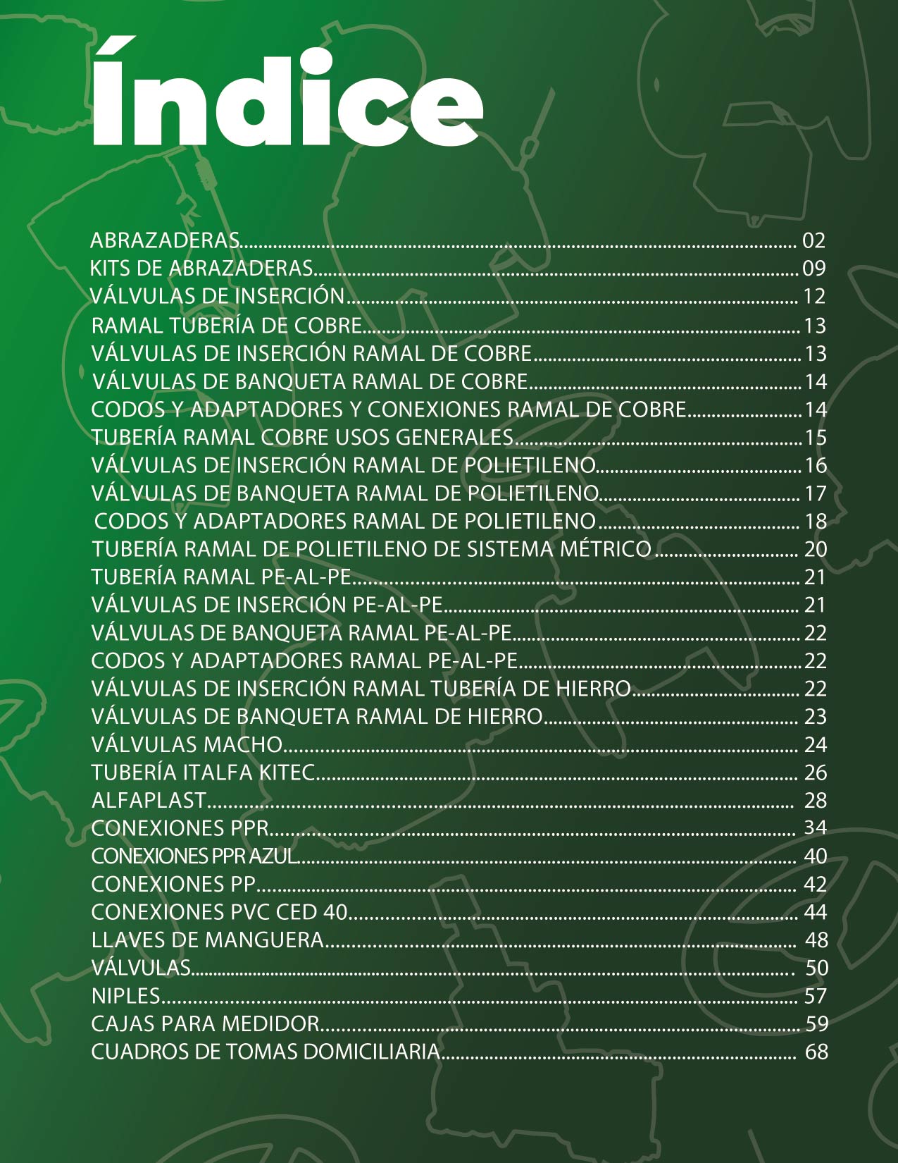 Página 5