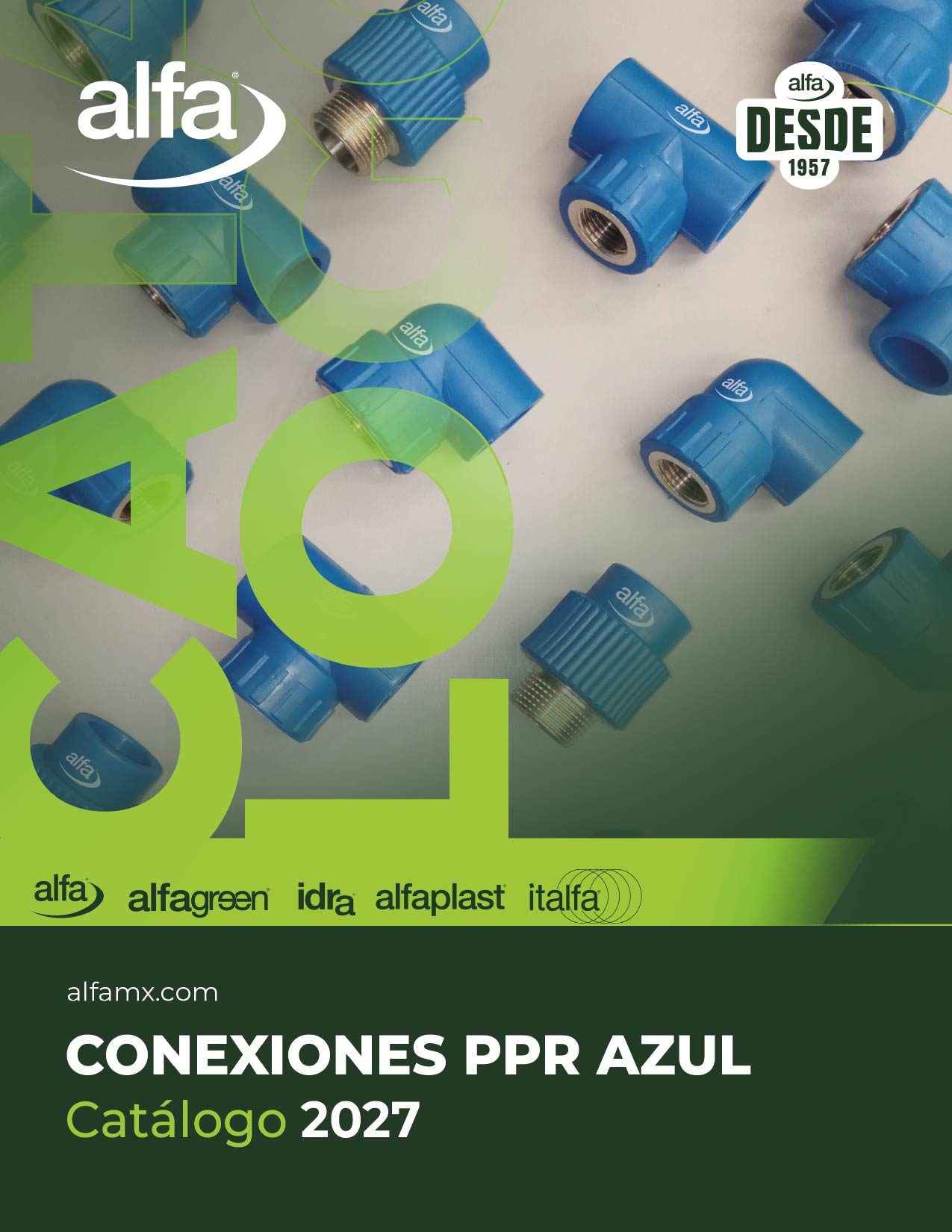 Página 43